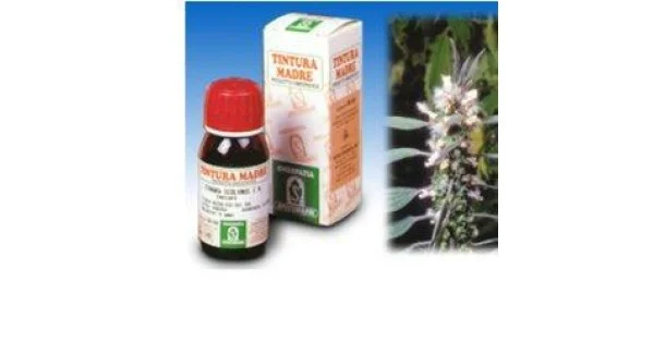 farmaciagaudiana1410952