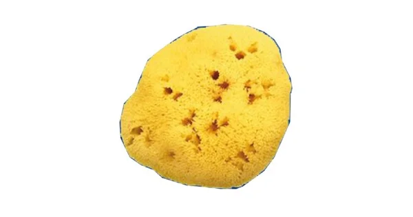 farmaciagaudiana1451736