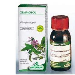 lovesano-11243249