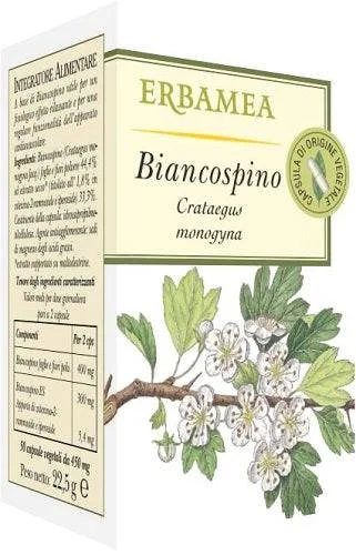 lovesano-11283997