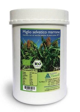 lovesano-21239759