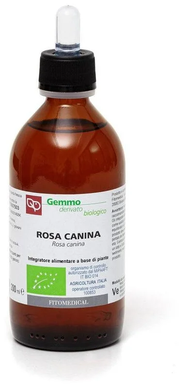 lovesano-21241930