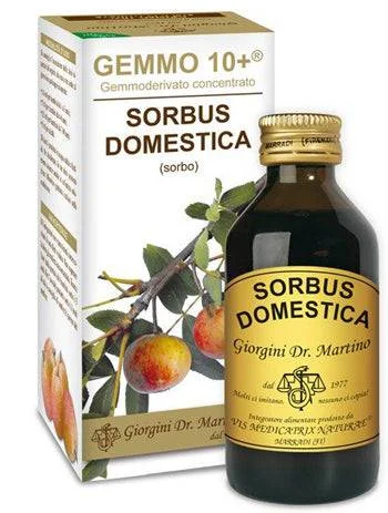 lovesano-21290681