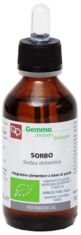 lovesano-21296577