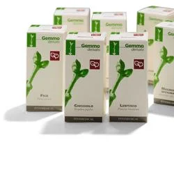 lovesano-21413279