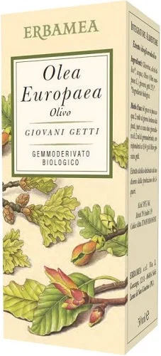 lovesano-21478075