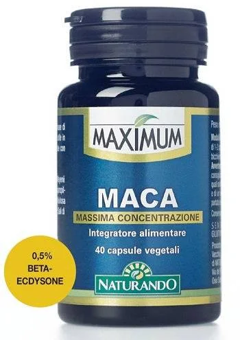 lovesano1301185