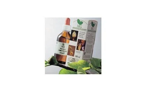 pharmasi-11472345
