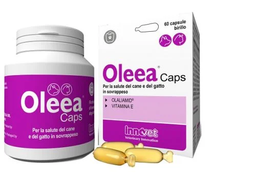 pharmasi1149596