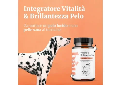 pharmasi1382861