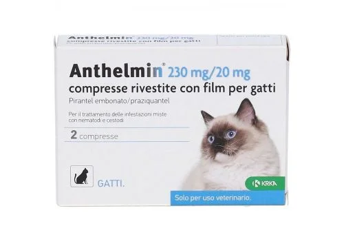 pharmasi964175
